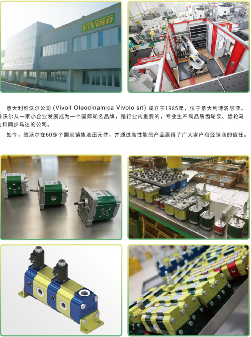 黄片在线免费观看视频 意大利维沃尔VIVOLO高压齿轮泵样本
