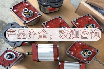 萨拉米齿轮泵