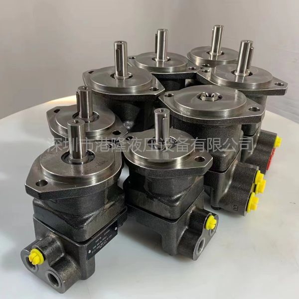 黄片裸体玉足自慰国产 F11/F12系列派克液压马达