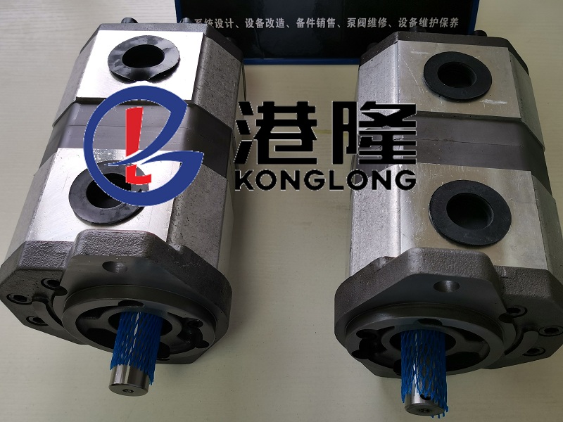 黄色变态网站入口足交 油力顿双联齿轮泵